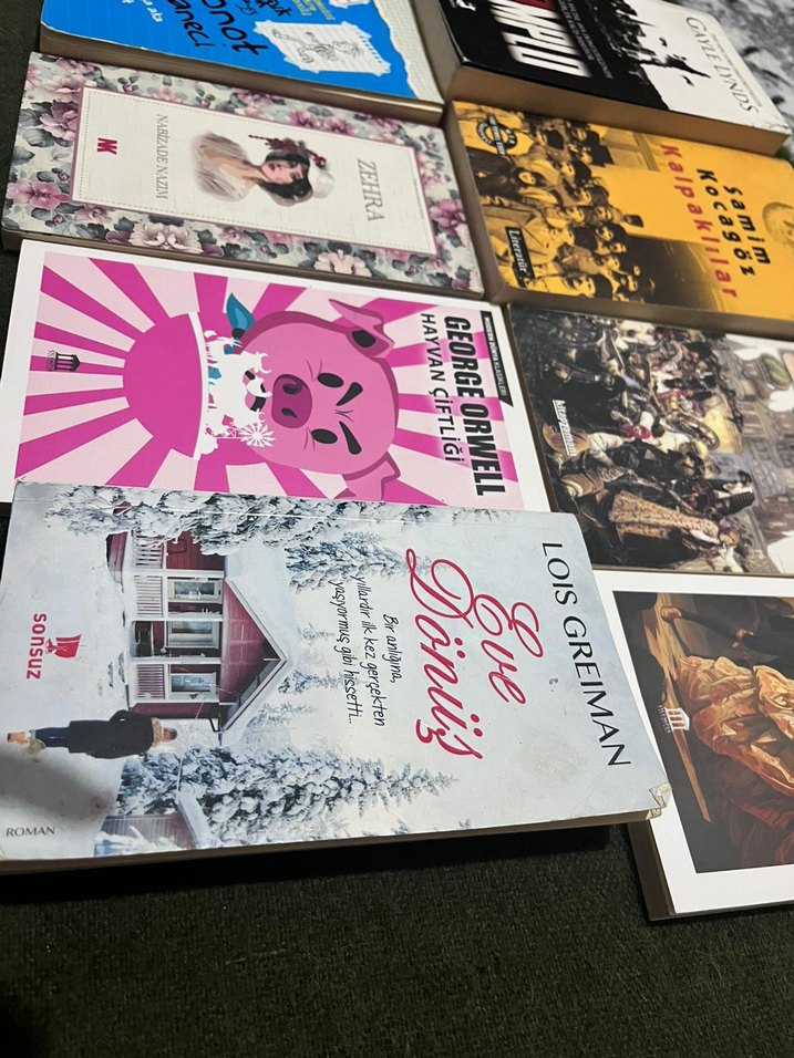 Klasik Edebiyat Kitapları - Görsel 3