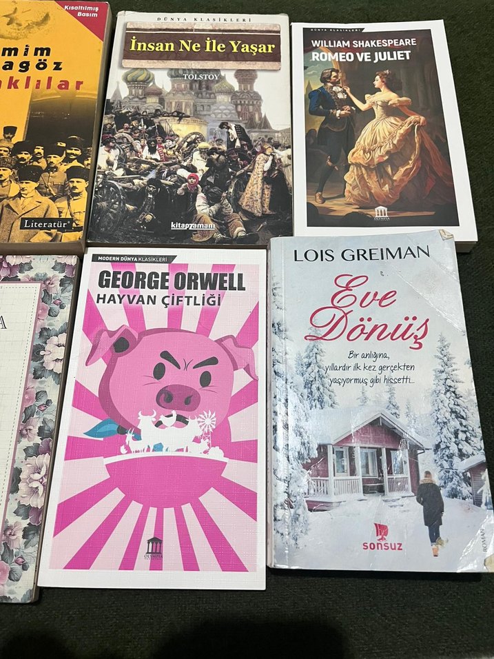 Klasik Edebiyat Kitapları - Görsel 5