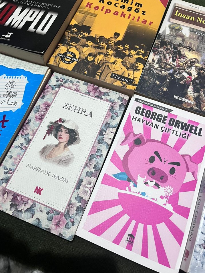 Klasik Edebiyat Kitapları - Görsel 2