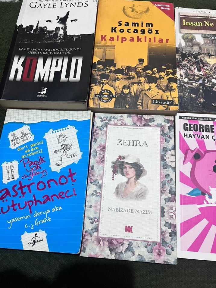 Klasik Edebiyat Kitapları - Görsel 4