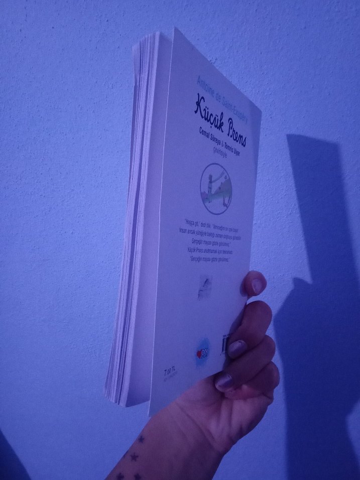 Küçük Prens - Antoine de Saint-Exupéry - Görsel 2