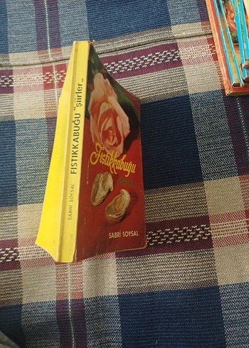  FISTIKKABUGU SIIRLER SABRI SOYSAL 1976 yili ilk