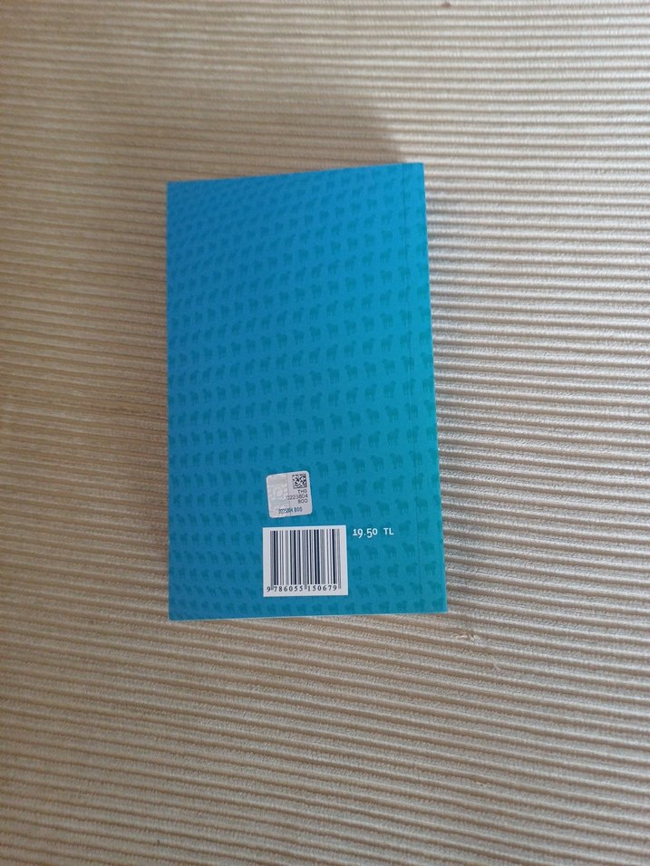 Androidler Elektrikli Koyun Düşler Mi? Kitap - Görsel 3