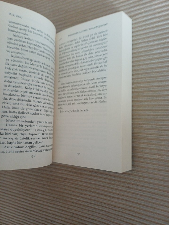 Androidler Elektrikli Koyun Düşler Mi? Kitap - Görsel 5