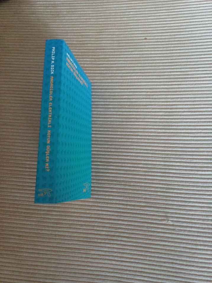 Androidler Elektrikli Koyun Düşler Mi? Kitap - Görsel 2
