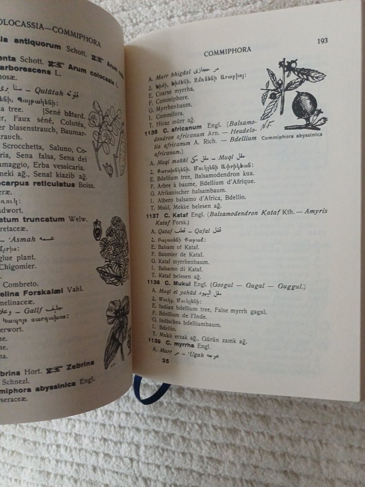 Resimli Çokdilli Bitki Adları Sözlüğü - Görsel 5