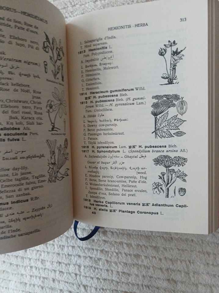 Resimli Çokdilli Bitki Adları Sözlüğü - Görsel 4