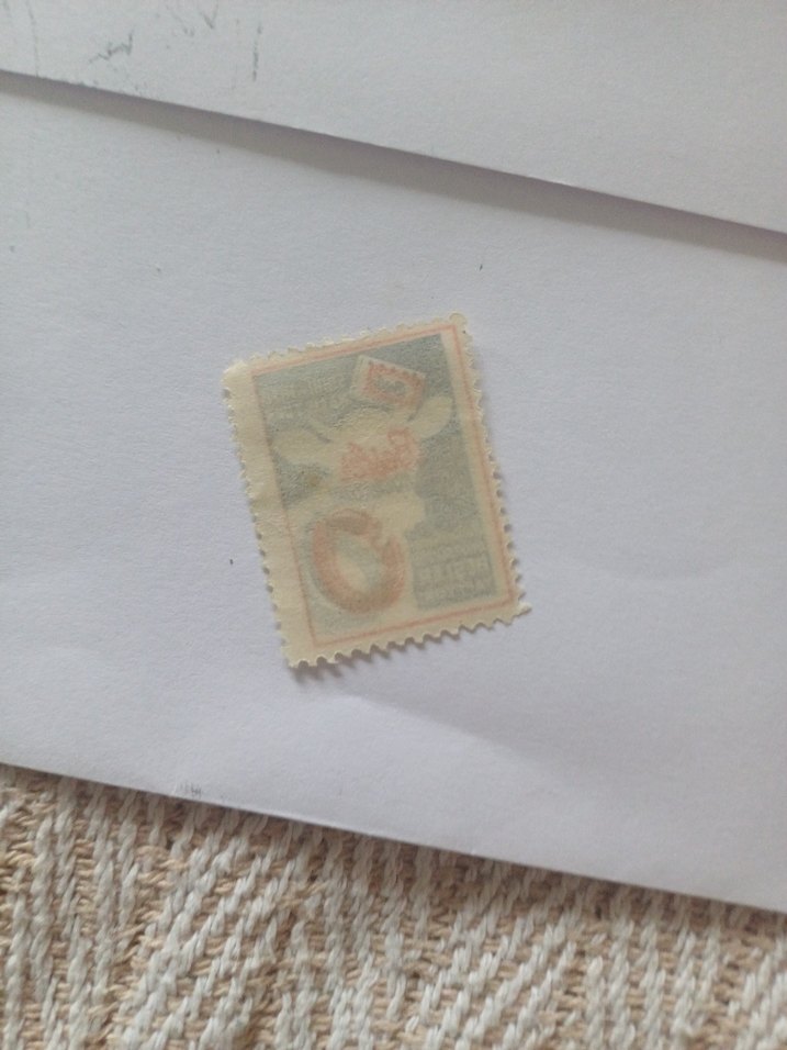 Vintage Erkek Rozeti - Besle Sucukları - Görsel 3