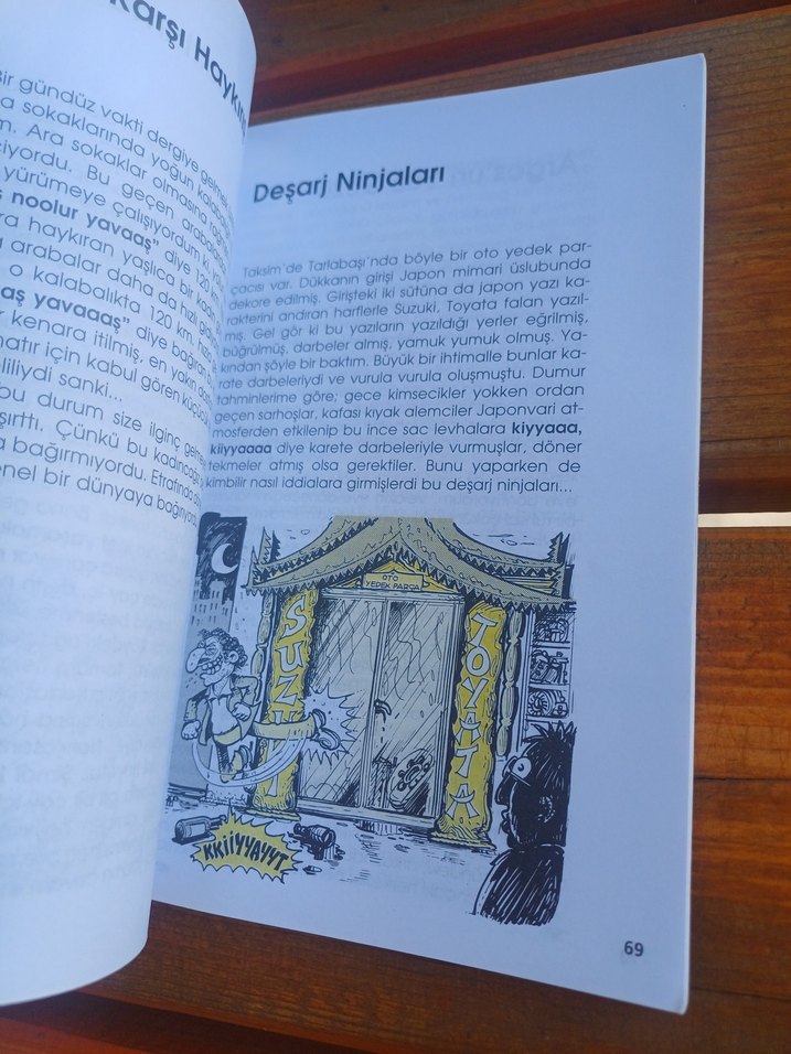 Dumur Detayları 2 - Güneri İçoğlu - Görsel 3