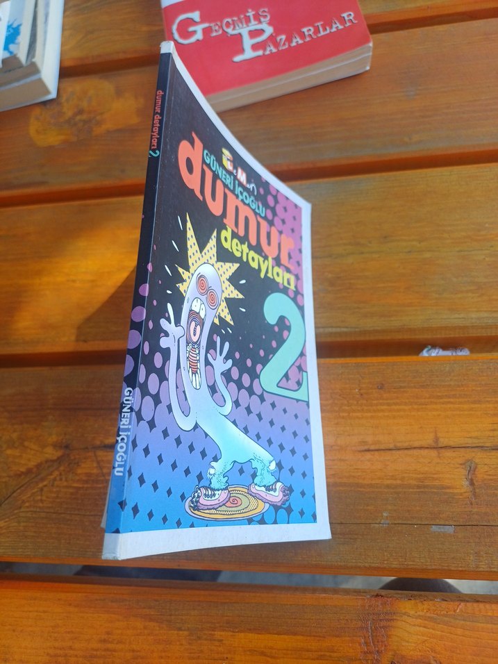 Dumur Detayları 2 - Güneri İçoğlu - Görsel 2