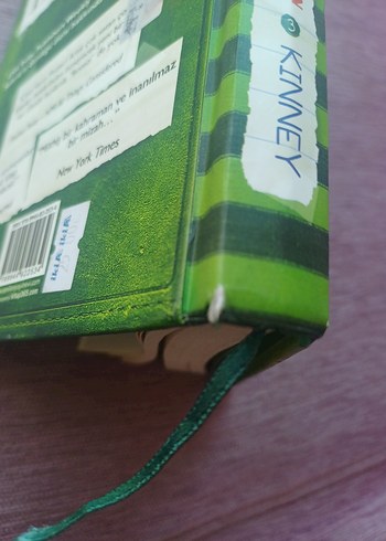 Saftirik Greg'in Günlüğü Türünün Son Örneği - Görsel 3