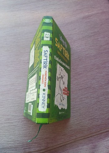 Saftirik Greg'in Günlüğü Türünün Son Örneği - Görsel 2