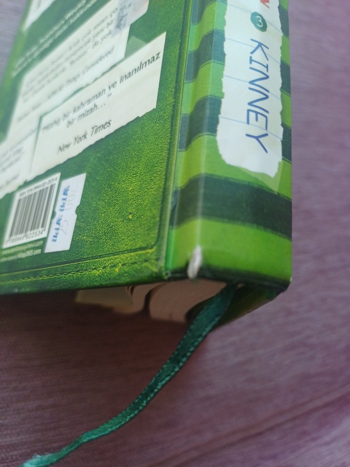 Saftirik Greg'in Günlüğü Türünün Son Örneği - Görsel 3