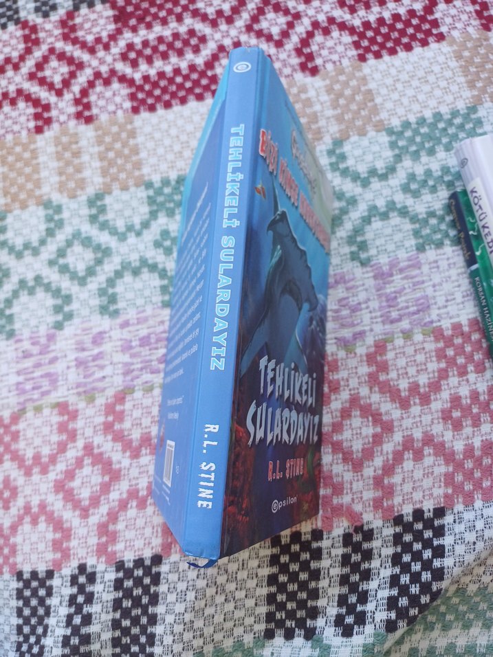 Tehlikeli Sulardayız - Bizi Kimse Korkutamaz - Görsel 2