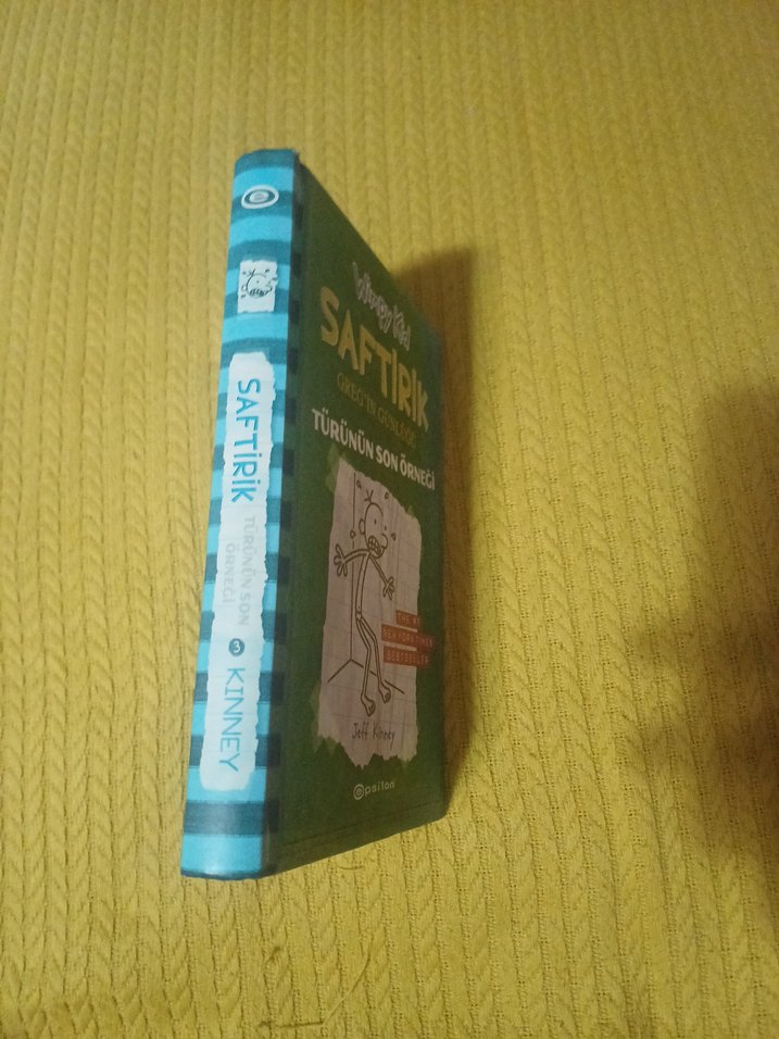 Saftirik Greg'in Günlüğü - Türünün Son Örneği - Görsel 2