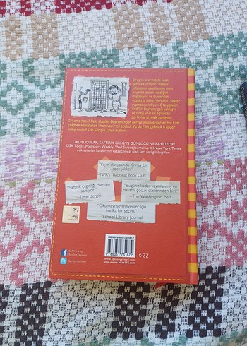 Saftirik Greg'in Günlüğü Karışık İşler Bunlar! - Görsel 3