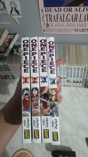 One Piece Manga 