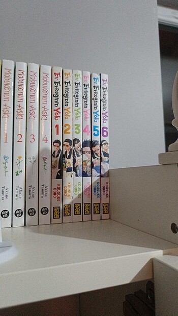 Ev erkeğinin yolu manga