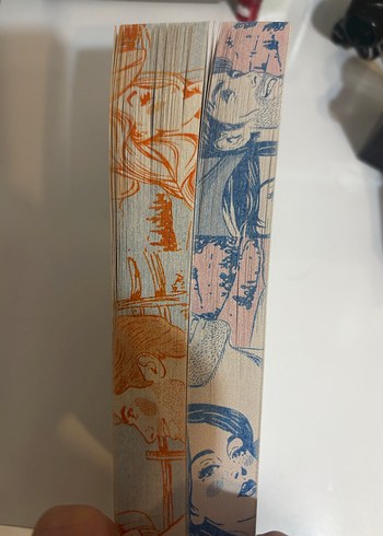 Elsie Silver Gold Rush Çiftliği 2 Kitap Set - Görsel 3