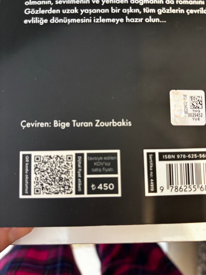 Hanımefendi - E L James - Görsel 3