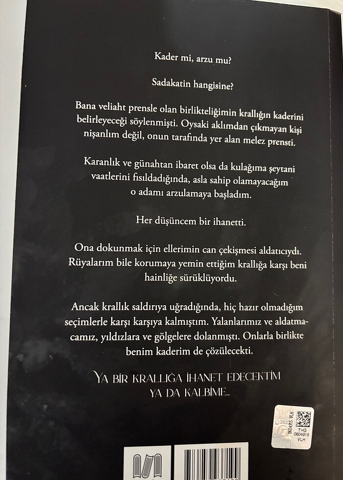 Yıldızlar ve Gölgeler Krallığı / Holly Renee - Görsel 3