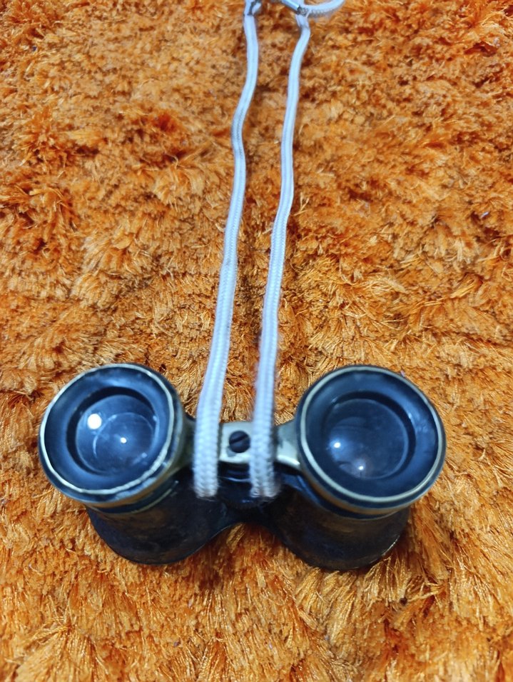 Koyu Kahverengi Dürbün 2.Dünya savaşı - Görsel 4