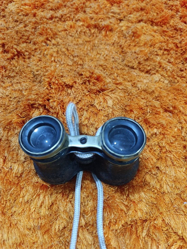 Koyu Kahverengi Dürbün 2.Dünya savaşı - Görsel 2