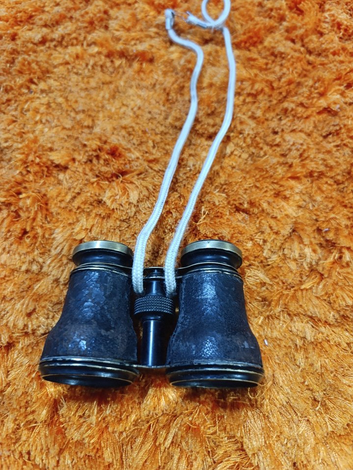 Koyu Kahverengi Dürbün 2.Dünya savaşı - Görsel 3