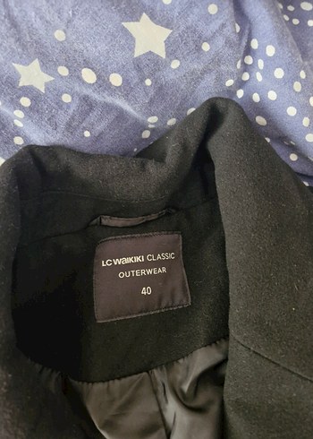 LCW Düğmeli Kadın Kaban - Görsel 2