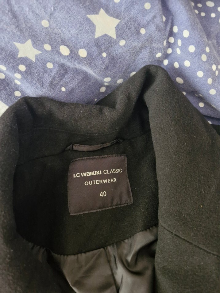 LCW Düğmeli Kadın Kaban - Görsel 2