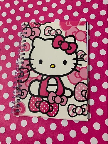 Hello kitty not defteri