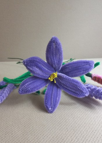 Şönil çiçek - Görsel 9