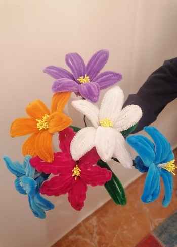 Şönil çiçek - Görsel 6