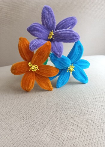 Şönil çiçek - Görsel 8