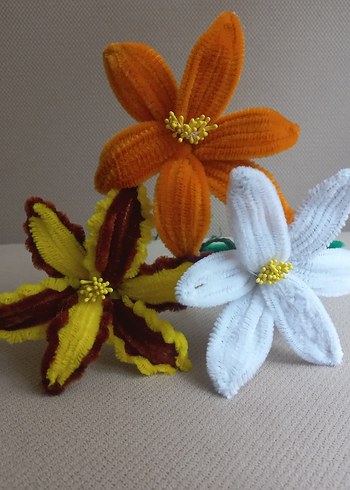 Şönil çiçek - Görsel 7