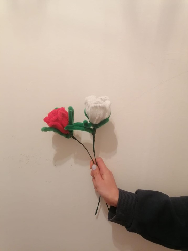 Şönil çiçek - Görsel 4