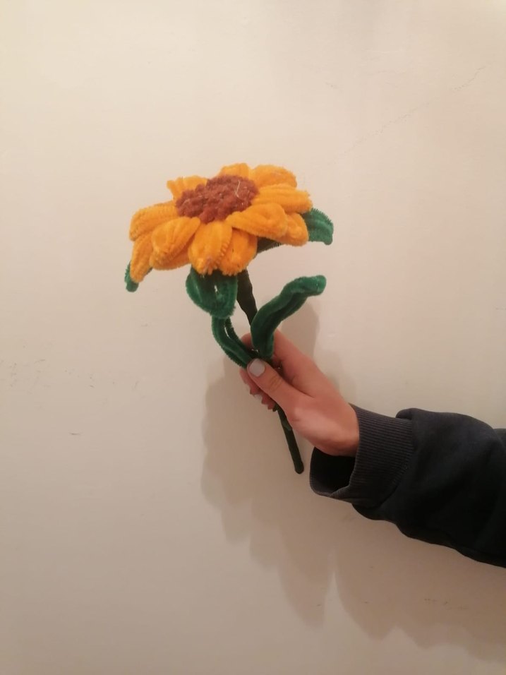 Şönil çiçek - Görsel 5