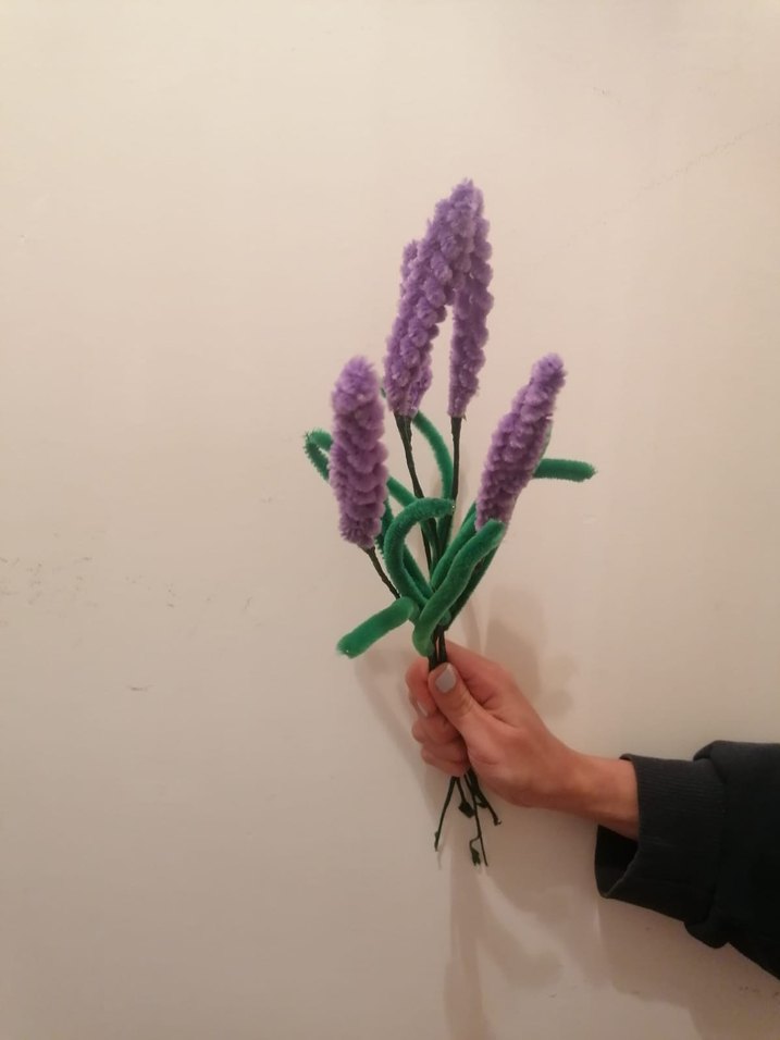 Şönil çiçek - Görsel 3