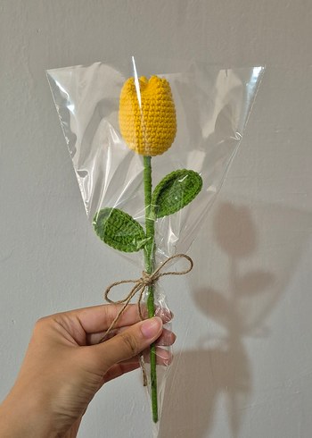 Beden Örgü Lale Çiçeği