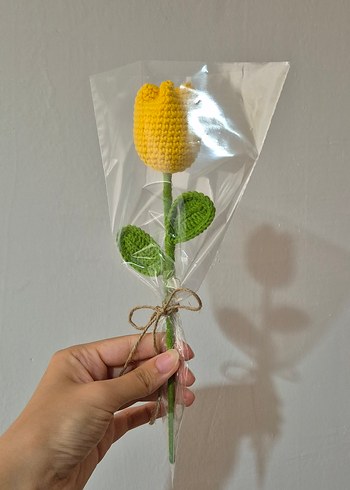 Örgü Lale Çiçeği