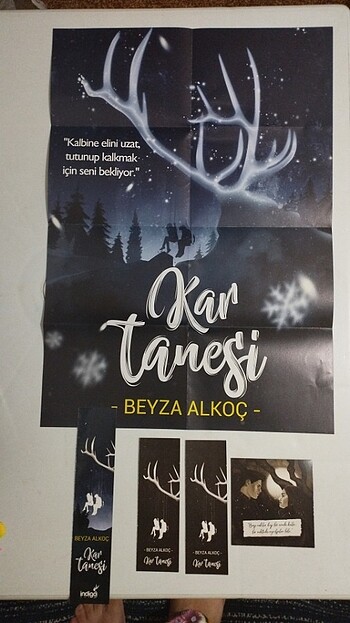  Kar tanesi
