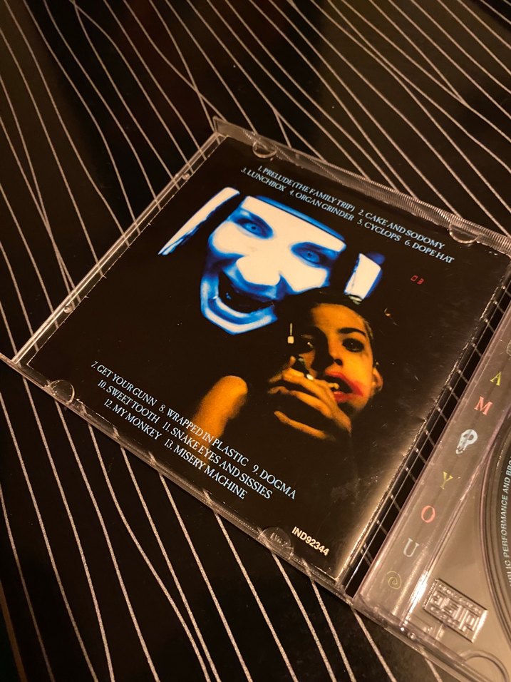 Marilyn Manson - Portrait of an American Family CD - Görsel 3