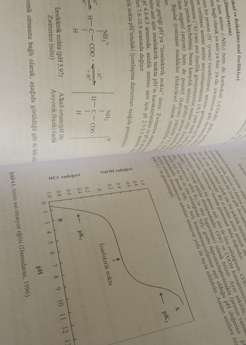 Gıda Kimyası Kitabı - İlbilge Saldamlı - Görsel 6
