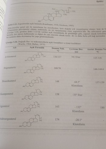 Gıda Kimyası Kitabı - İlbilge Saldamlı - Görsel 7