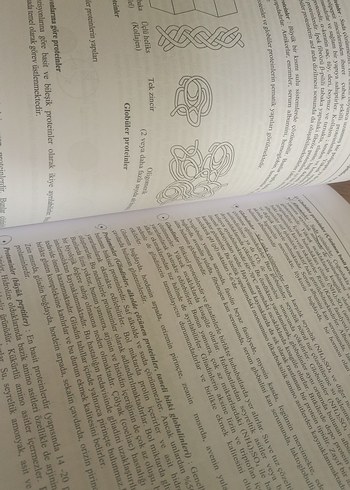 Gıda Kimyası Kitabı - İlbilge Saldamlı - Görsel 5