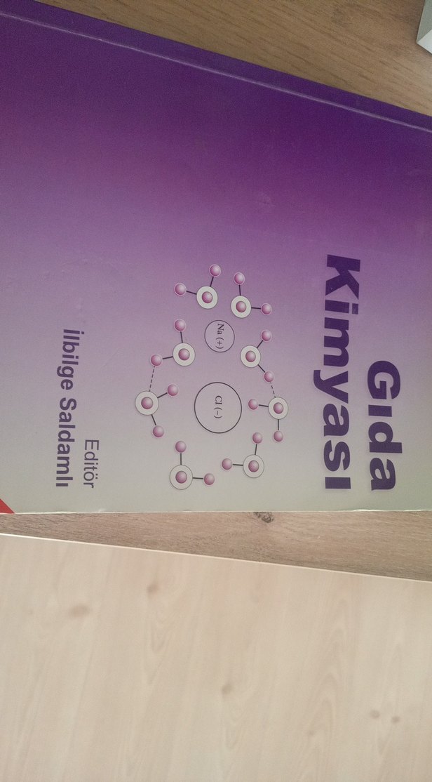 Gıda Kimyası Kitabı - İlbilge Saldamlı - Görsel 2