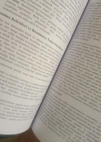 Gıda Mikrobiyolojisi ve  Gıda Kimyası Kitapları - Görsel 10
