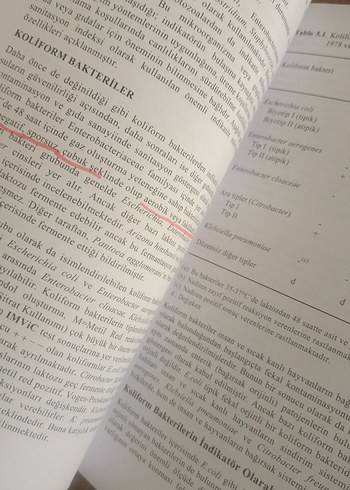 Gıda Mikrobiyolojisi ve  Gıda Kimyası Kitapları - Görsel 11