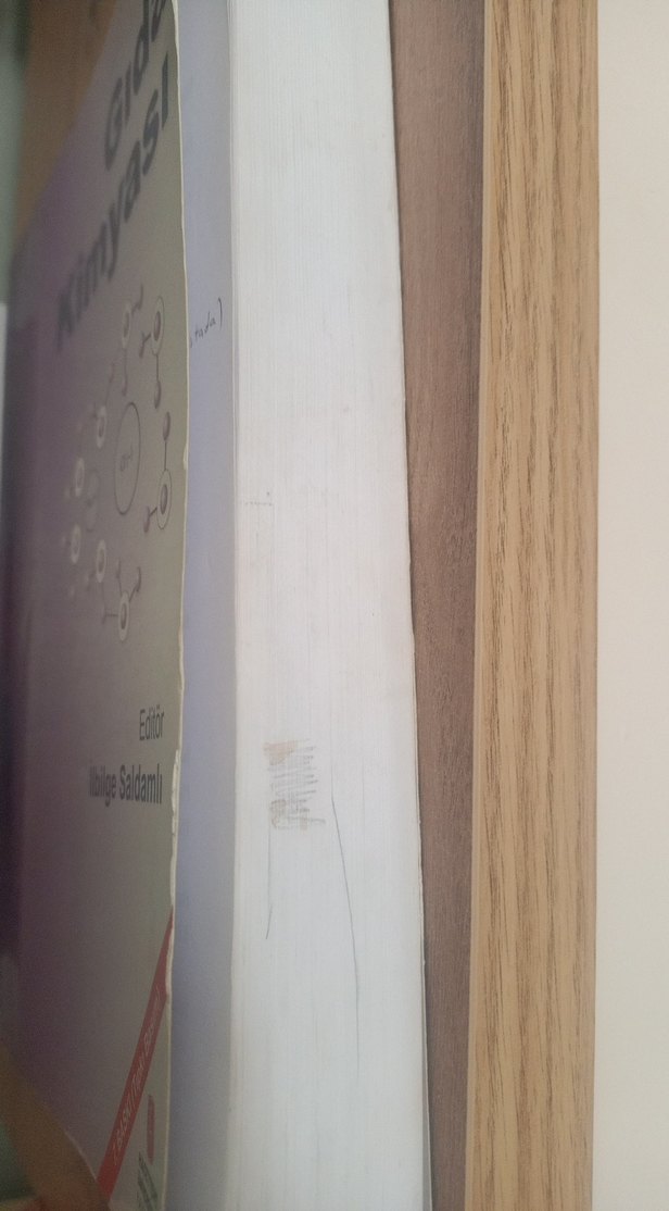 Gıda Mikrobiyolojisi ve  Gıda Kimyası Kitapları - Görsel 5