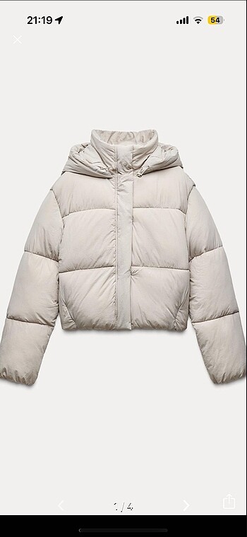 Zara mont